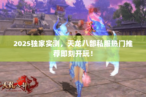 2025独家实测，天龙八部私服热门推荐即刻开玩！