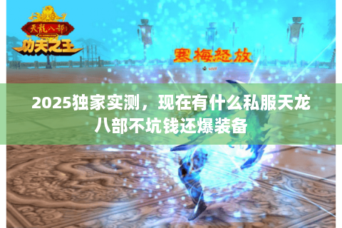2025独家实测,现在有什么私服天龙八部不坑钱还爆装备 2025独家实测,现在有什么私服天龙八部不坑钱还爆装备