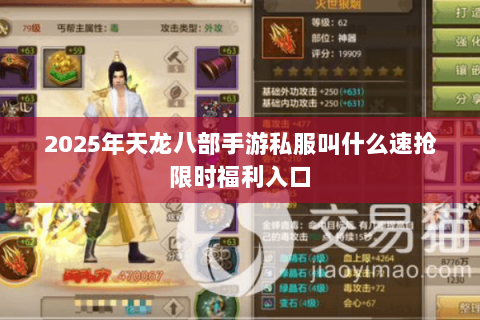 2025年天龙八部手游私服叫什么速抢限时福利入口