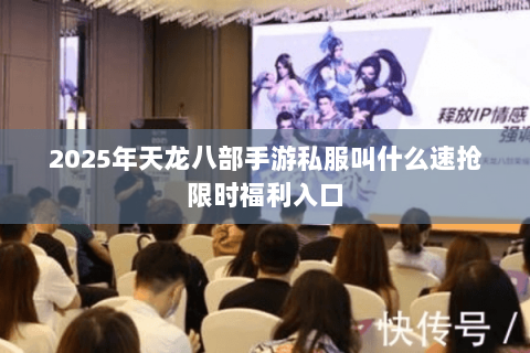 2025年天龙八部手游私服叫什么速抢限时福利入口