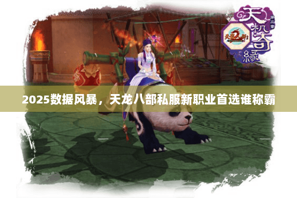 2025数据风暴,天龙八部私服新职业首选谁称霸 2025数据风暴,天龙八部私服新职业首选谁称霸