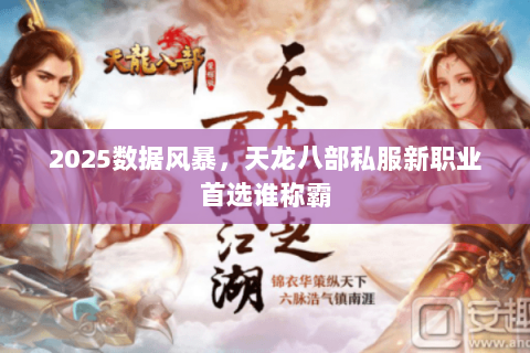 2025数据风暴,天龙八部私服新职业首选谁称霸 2025数据风暴,天龙八部私服新职业首选谁称霸