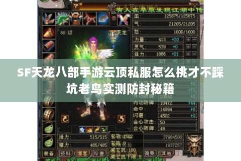 SF天龙八部手游云顶私服怎么挑才不踩坑老鸟实测防封秘籍