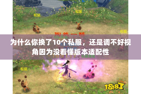 为什么你换了10个私服，还是调不好视角因为没看懂版本适配性