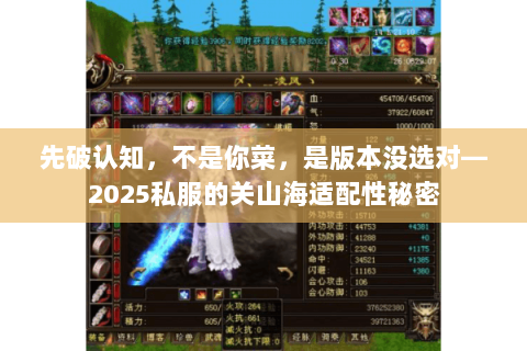 先破认知,不是你菜,是版本没选对—2025私服的关山海适配性秘密 先破认知,不是你菜,是版本没选对—2025私服的关山海适配性秘密