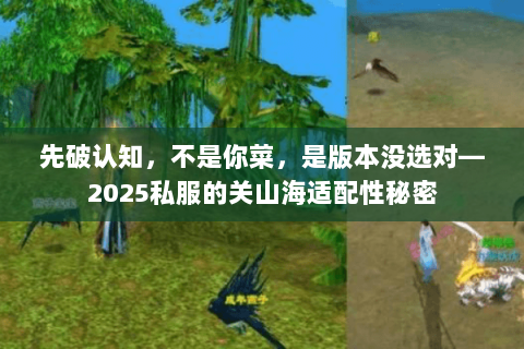 先破认知,不是你菜,是版本没选对—2025私服的关山海适配性秘密 先破认知,不是你菜,是版本没选对—2025私服的关山海适配性秘密