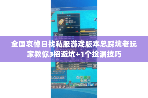 全国哀悼日找私服游戏版本总踩坑老玩家教你3招避坑+1个捡漏技巧
