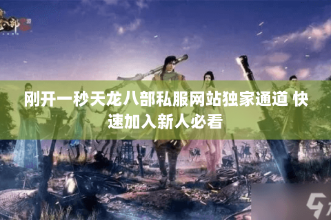 刚开一秒天龙八部私服网站独家通道 快速加入新人必看