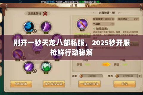刚开一秒天龙八部私服，2025秒开服抢鲜行动秘笈