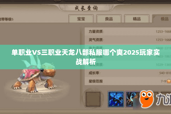 单职业VS三职业天龙八部私服哪个爽2025玩家实战解析 单职业VS三职业天龙八部私服哪个爽2025玩家实战解析