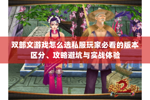 双部文游戏怎么选私服玩家必看的版本区分、攻略避坑与实战体验