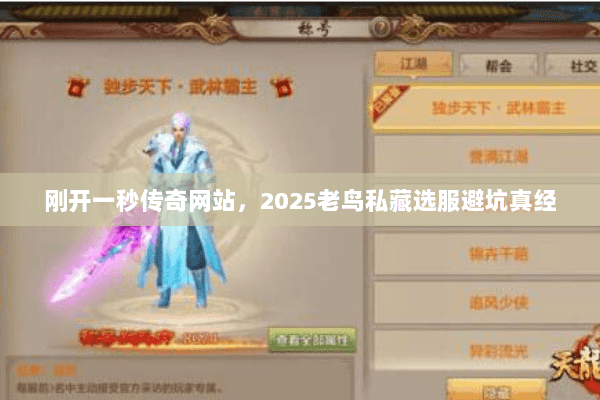 刚开一秒传奇网站，2025老鸟私藏选服避坑真经