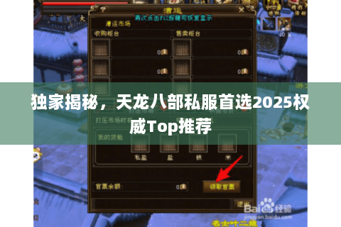 独家揭秘,天龙八部私服首选2025权威Top推荐 独家揭秘,天龙八部私服首选2025权威Top推荐