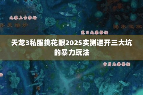 天龙3私服挑花眼2025实测避开三大坑的暴力玩法