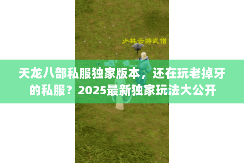 天龙八部私服独家版本,还在玩老掉牙的私服?2025最新独家玩法大公开 天龙八部私服独家版本,还在玩老掉牙的私服?2025最新独家玩法大公开