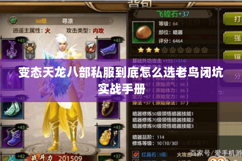 变态天龙八部私服到底怎么选老鸟闭坑实战手册