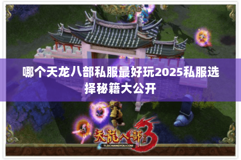 哪个天龙八部私服最好玩2025私服选择秘籍大公开 哪个天龙八部私服最好玩2025私服选择秘籍大公开