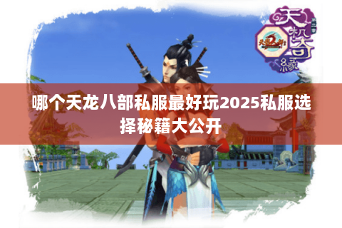 哪个天龙八部私服最好玩2025私服选择秘籍大公开 哪个天龙八部私服最好玩2025私服选择秘籍大公开