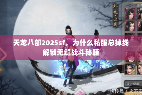 天龙八部2025sf，为什么私服总掉线解锁无缝战斗秘籍