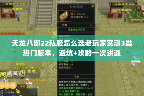 天龙八部22私服怎么选老玩家实测3类热门版本，避坑+攻略一次讲透