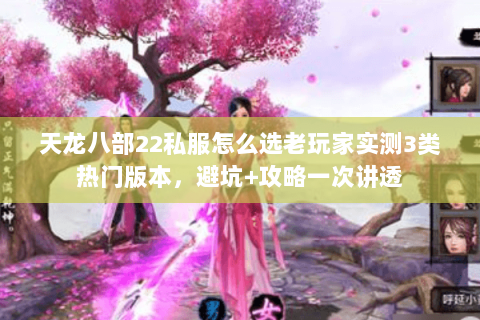 天龙八部22私服怎么选老玩家实测3类热门版本，避坑+攻略一次讲透