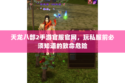 天龙八部2手游官服官网，玩私服前必须知道的致命危险