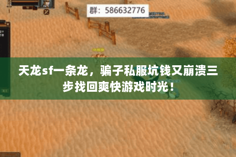 天龙sf一条龙，骗子私服坑钱又崩溃三步找回爽快游戏时光！