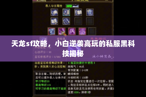天龙sf攻略，小白逆袭高玩的私服黑科技揭秘