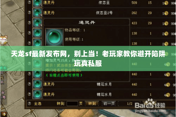 天龙sf最新发布网，别上当！老玩家教你避开陷阱玩真私服
