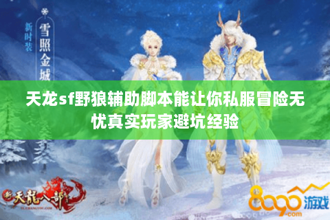 天龙sf野狼辅助脚本能让你私服冒险无忧真实玩家避坑经验