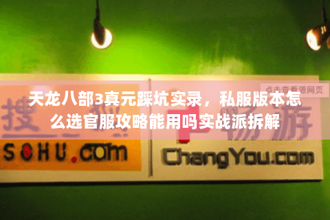 天龙八部3真元踩坑实录,私服版本怎么选官服攻略能用吗实战派拆解 天龙八部3真元踩坑实录,私服版本怎么选官服攻略能用吗实战派拆解