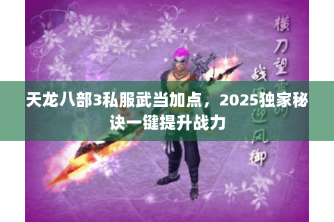 天龙八部3私服武当加点，2025独家秘诀一键提升战力
