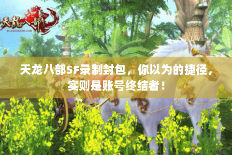 天龙八部SF录制封包,你以为的捷径,实则是账号终结者! 天龙八部SF录制封包,你以为的捷径,实则是账号终结者!