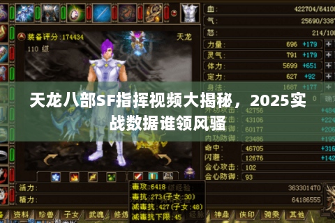 天龙八部SF指挥视频大揭秘，2025实战数据谁领风骚