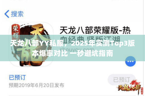 天龙八部YY私服，2025年实测Top3版本爆率对比 一秒避坑指南