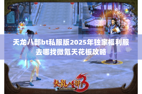 天龙八部bt私服版2025年独家福利服去哪找微氪天花板攻略