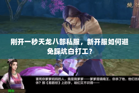 刚开一秒天龙八部私服,新开服如何避免踩坑白打工? 刚开一秒天龙八部私服,新开服如何避免踩坑白打工?