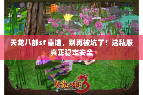 天龙八部sf 靠谱，别再被坑了！这私服真正稳定安全