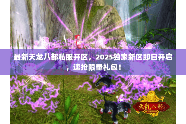 最新天龙八部私服开区，2025独家新区即日开启，速抢限量礼包！