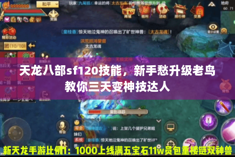 天龙八部sf120技能，新手愁升级老鸟教你三天变神技达人