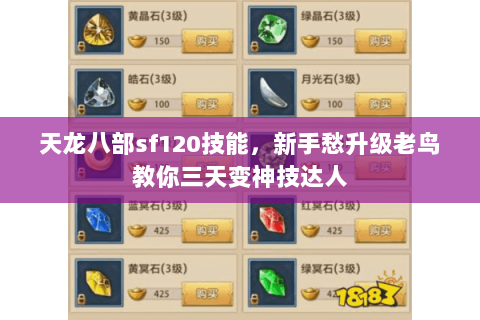天龙八部sf120技能，新手愁升级老鸟教你三天变神技达人