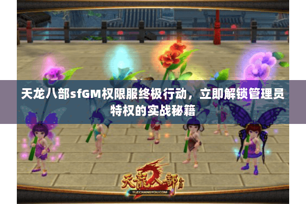 天龙八部sfGM权限服终极行动，立即解锁管理员特权的实战秘籍