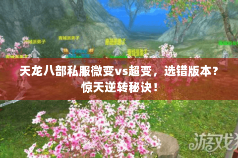 天龙八部私服微变vs超变,选错版本?惊天逆转秘诀! 天龙八部私服微变vs超变,选错版本?惊天逆转秘诀!