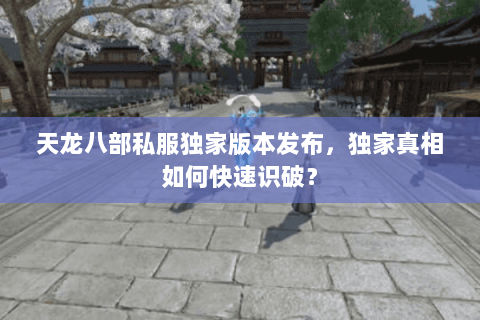 天龙八部私服独家版本发布,独家真相如何快速识破? 天龙八部私服独家版本发布,独家真相如何快速识破?