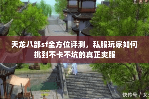 天龙八部sf全方位评测，私服玩家如何挑到不卡不坑的真正爽服