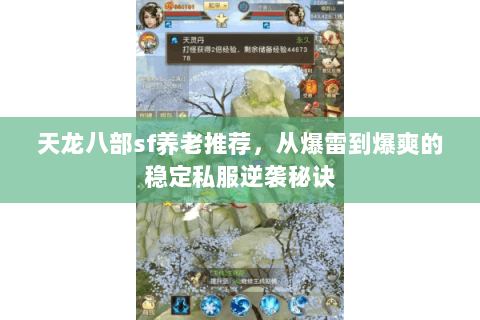 天龙八部sf养老推荐,从爆雷到爆爽的稳定私服逆袭秘诀 天龙八部sf养老推荐,从爆雷到爆爽的稳定私服逆袭秘诀