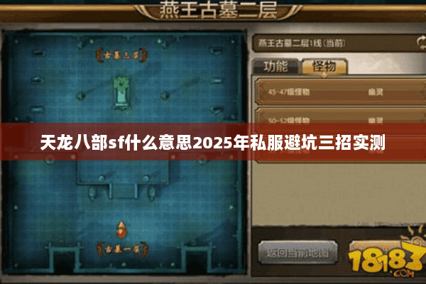 天龙八部sf什么意思2025年私服避坑三招实测 天龙八部sf什么意思2025年私服避坑三招实测