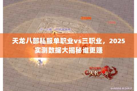 天龙八部私服单职业vs三职业，2025实测数据大揭秘谁更赚