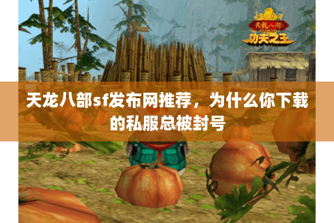 天龙八部sf发布网推荐,为什么你下载的私服总被封号 天龙八部sf发布网推荐,为什么你下载的私服总被封号