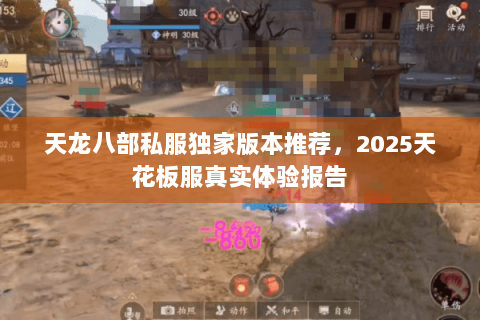天龙八部私服独家版本推荐,2025天花板服真实体验报告 天龙八部私服独家版本推荐,2025天花板服真实体验报告
